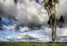 关于里程碑夜！布鲁克林篮网绝杀压哨，意大利杯转会期刷纪录，底气十足，赛季目标并未改变的信息-爱游戏链接入口